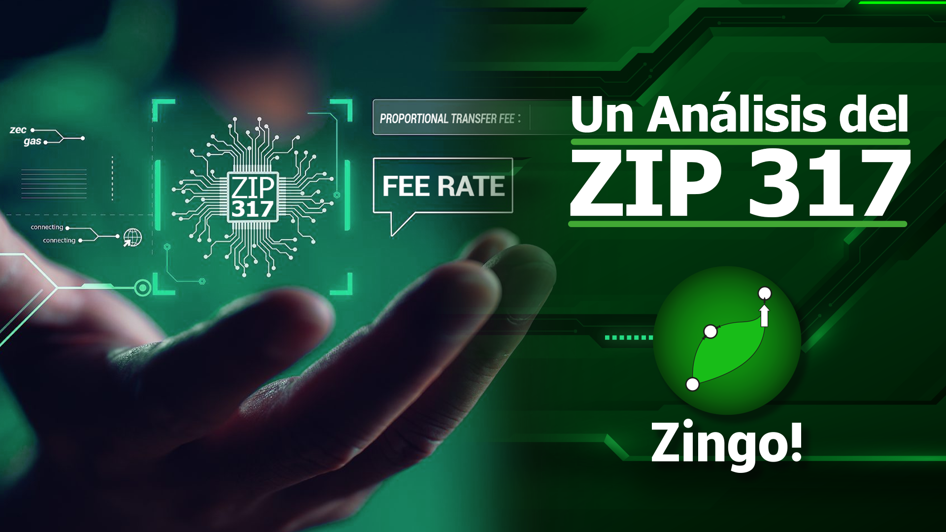 Un Análisis del ZIP 317