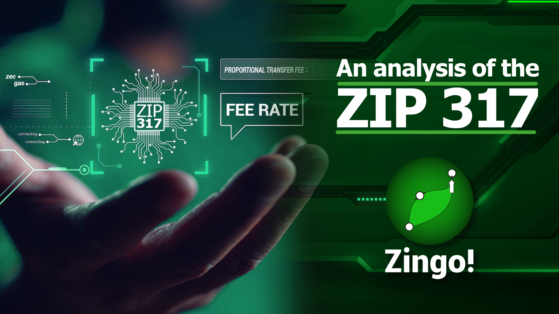 An Analysis of the ZIP 317